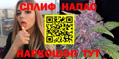 крисы Аша