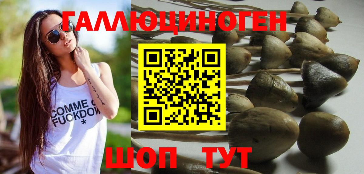 Псилоцибиновые грибы Cubensis Алушта